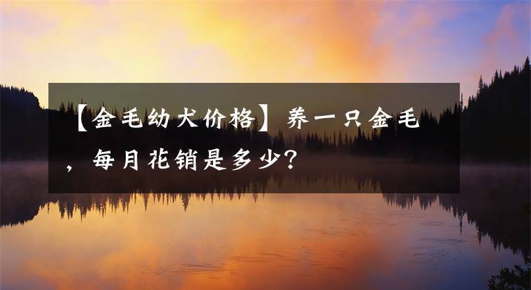 【金毛幼犬價格】養(yǎng)一只金毛，每月花銷是多少？