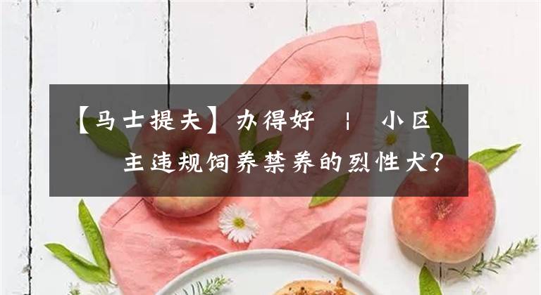 【馬士提夫】辦得好?|?小區(qū)業(yè)主違規(guī)飼養(yǎng)禁養(yǎng)的烈性犬？網(wǎng)友留言獲快速解決