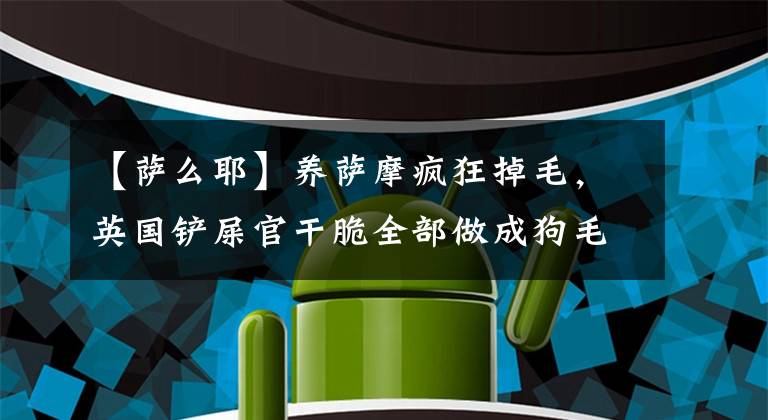 【薩么耶】養(yǎng)薩摩瘋狂掉毛，英國鏟屎官干脆全部做成狗毛衣！比羊毛還舒服