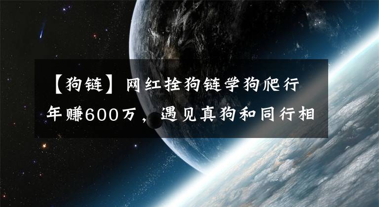 【狗鏈】網(wǎng)紅拴狗鏈學(xué)狗爬行年賺600萬，遇見真狗和同行相互對吠