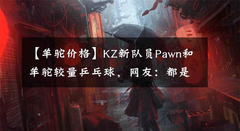 【羊駝價(jià)格】KZ新隊(duì)員Pawn和羊駝?shì)^量乒乓球，網(wǎng)友：都是廠長(zhǎng)訓(xùn)練的！