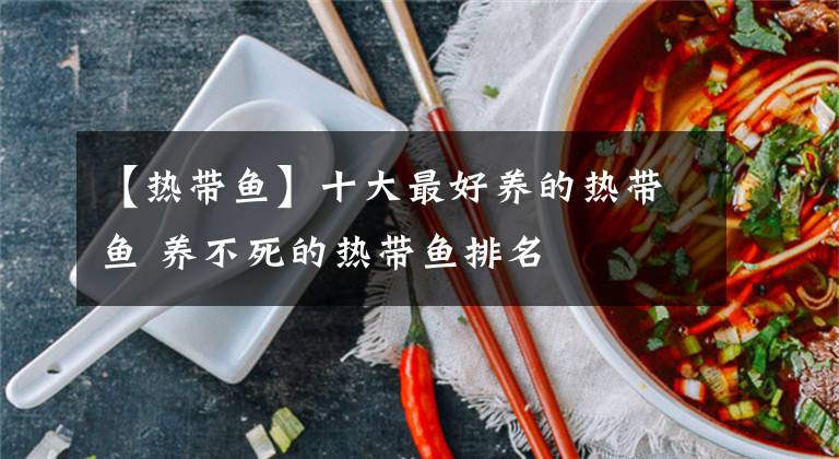 【熱帶魚】十大最好養(yǎng)的熱帶魚 養(yǎng)不死的熱帶魚排名