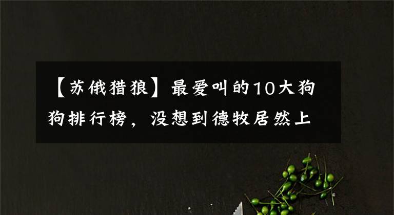 【蘇俄獵狼】最愛叫的10大狗狗排行榜，沒想到德牧居然上榜了