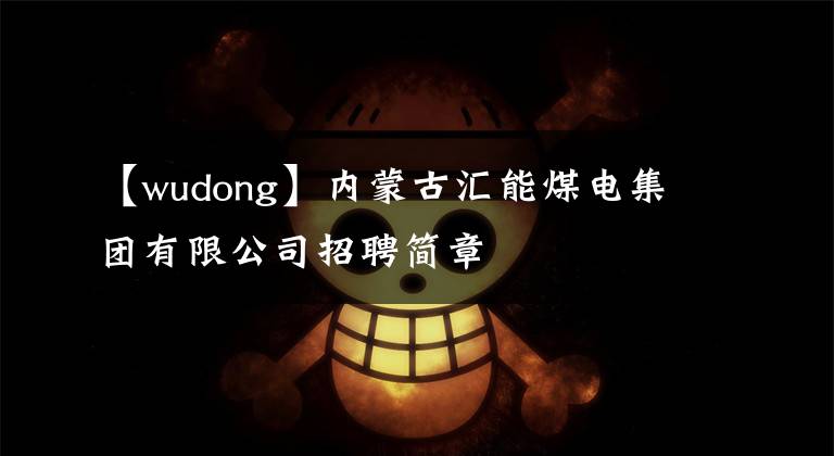 【wudong】內(nèi)蒙古匯能煤電集團(tuán)有限公司招聘簡章