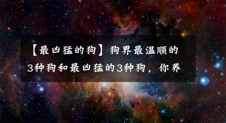 【最兇猛的狗】狗界最溫順的3種狗和最兇猛的3種狗，你養(yǎng)了哪種？