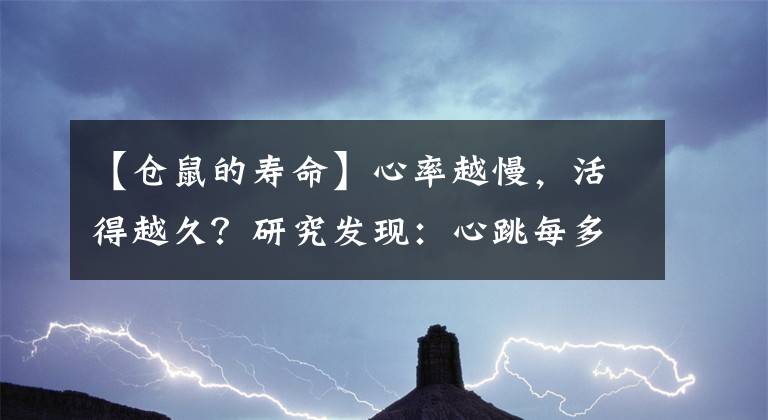 【倉鼠的壽命】心率越慢，活得越久？研究發(fā)現(xiàn)：心跳每多1次，平均壽命或少4個月