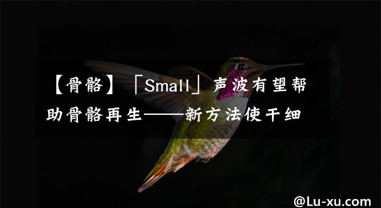 【骨骼】「Small」聲波有望幫助骨骼再生——新方法使干細(xì)胞轉(zhuǎn)化為骨細(xì)胞更加快速簡(jiǎn)單