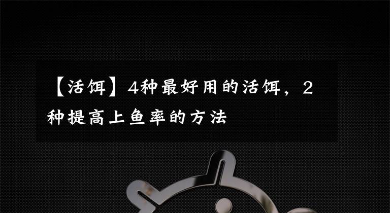 【活餌】4種最好用的活餌，2種提高上魚率的方法