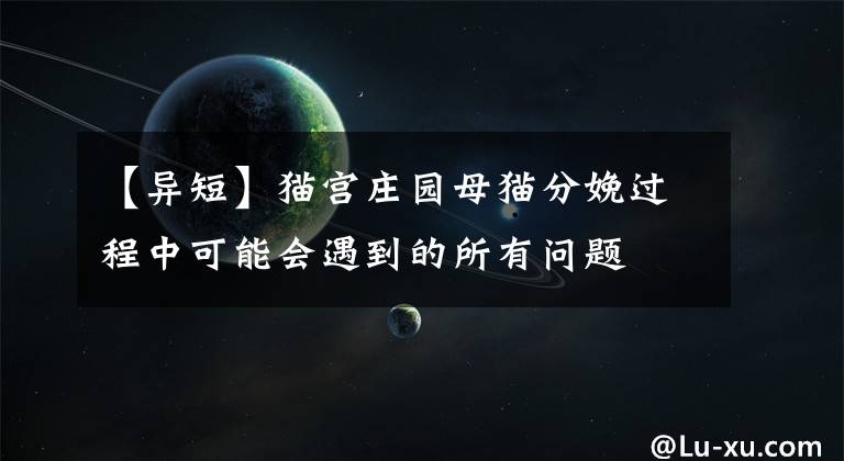 【異短】貓宮莊園母貓分娩過(guò)程中可能會(huì)遇到的所有問(wèn)題