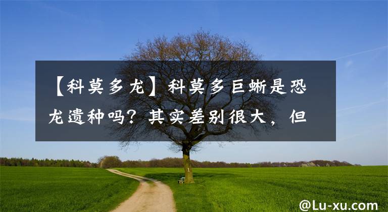 【科莫多龍】科莫多巨蜥是恐龍遺種嗎？其實(shí)差別很大，但恐龍后裔卻大量存在