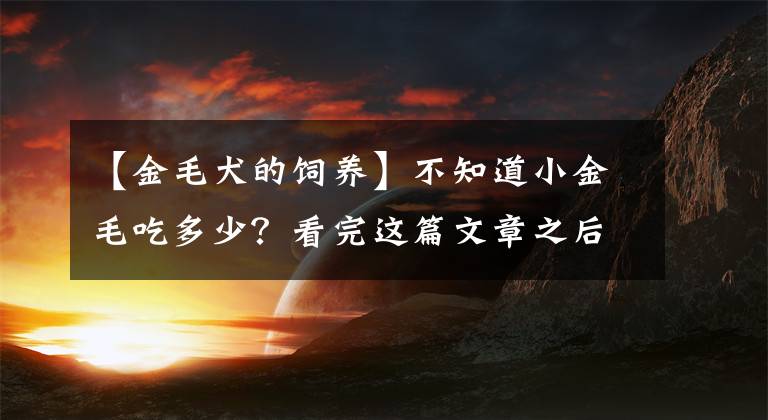 【金毛犬的飼養(yǎng)】不知道小金毛吃多少？看完這篇文章之后，你就知道怎么喂養(yǎng)了