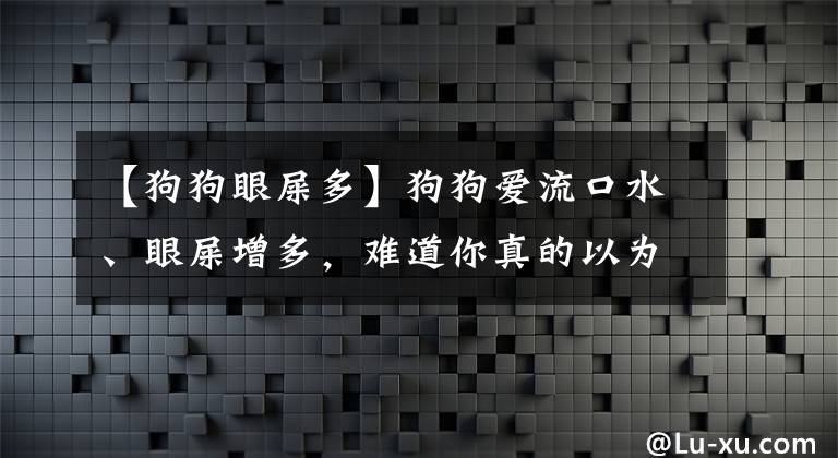 【狗狗眼屎多】狗狗愛(ài)流口水、眼屎增多，難道你真的以為這是正?，F(xiàn)象嗎？