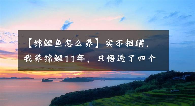 【錦鯉魚怎么養(yǎng)】實(shí)不相瞞，我養(yǎng)錦鯉11年，只悟透了四個(gè)字——三高三低