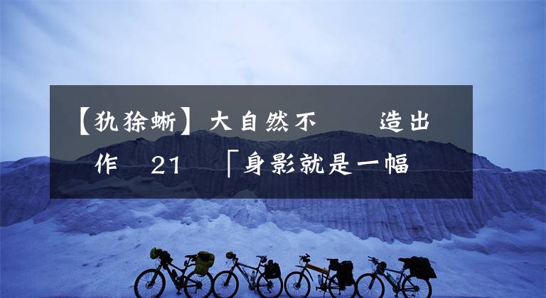 【犰狳蜥】大自然不斷創(chuàng)造出傑作　21隻「身影就是一幅畫」的奇幻風(fēng)生物