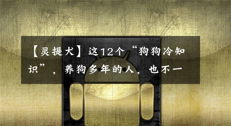 【靈提犬】這12個(gè)“狗狗冷知識”，養(yǎng)狗多年的人，也不一定懂