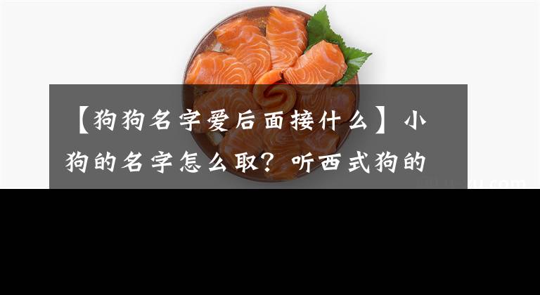 【狗狗名字愛后面接什么】小狗的名字怎么??？聽西式狗的名字大全