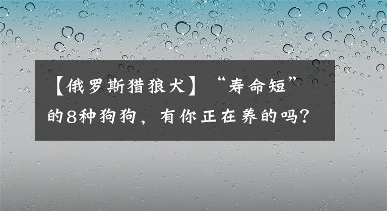 【俄羅斯獵狼犬】“壽命短”的8種狗狗，有你正在養(yǎng)的嗎？