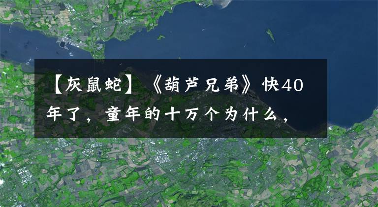 【灰鼠蛇】《葫蘆兄弟》快40年了，童年的十萬個為什么，終于有了答案