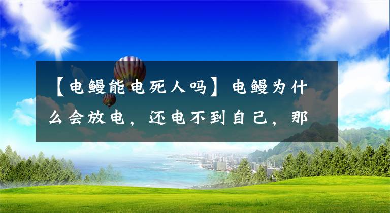 【電鰻能電死人嗎】電鰻為什么會放電，還電不到自己，那能電死人嗎？