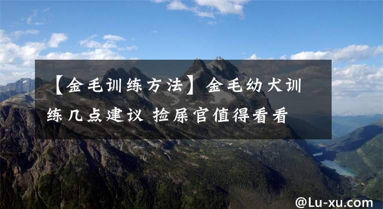 【金毛訓(xùn)練方法】金毛幼犬訓(xùn)練幾點建議 撿屎官值得看看