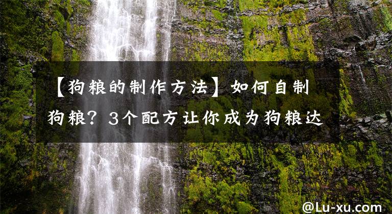 【狗糧的制作方法】如何自制狗糧？3個配方讓你成為狗糧達(dá)人！