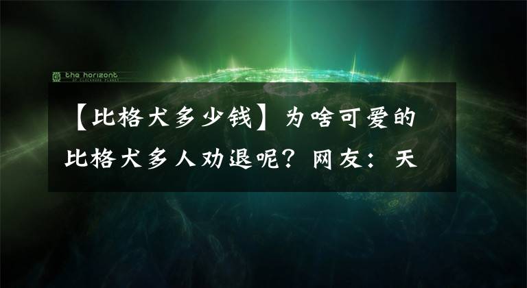 【比格犬多少錢】為啥可愛的比格犬多人勸退呢？網(wǎng)友：天天被投訴