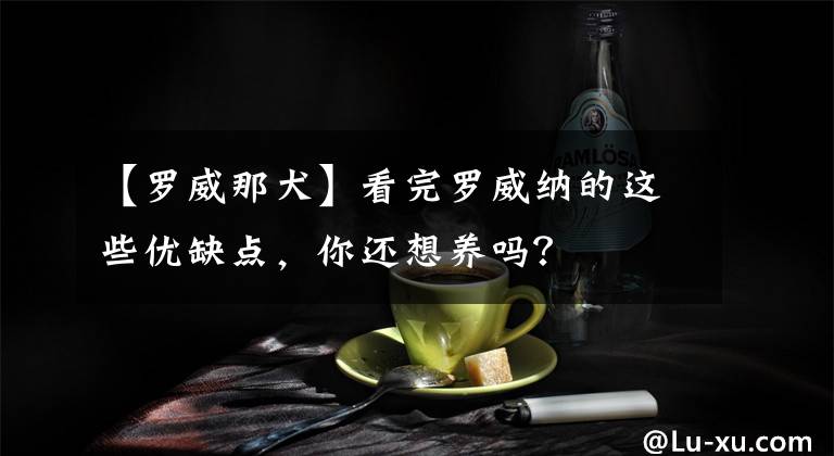 【羅威那犬】看完羅威納的這些優(yōu)缺點(diǎn)，你還想養(yǎng)嗎？