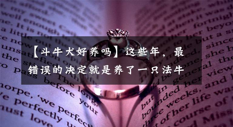 【斗牛犬好養(yǎng)嗎】這些年，最錯(cuò)誤的決定就是養(yǎng)了一只法牛，又笨又蠢又懶又能吃！