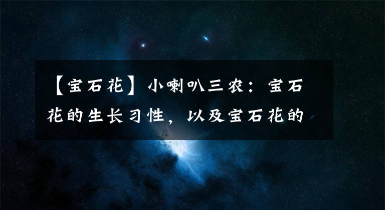 【寶石花】小喇叭三農(nóng)：寶石花的生長習性，以及寶石花的四季養(yǎng)護管理