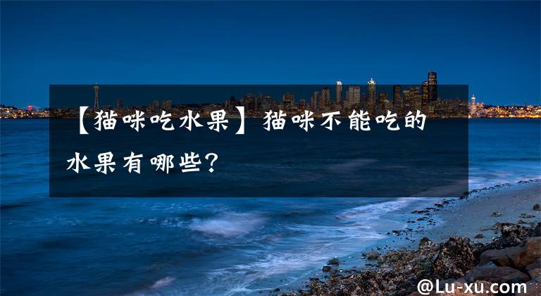 【貓咪吃水果】貓咪不能吃的水果有哪些？