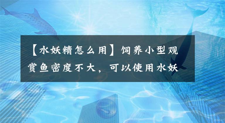 【水妖精怎么用】飼養(yǎng)小型觀賞魚密度不大，可以使用水妖精開缸嗎，怎么不可以？