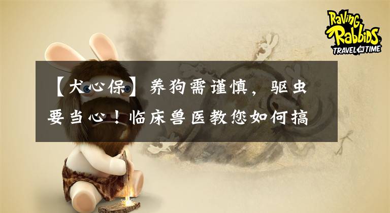 【犬心?！筐B(yǎng)狗需謹(jǐn)慎，驅(qū)蟲(chóng)要當(dāng)心！臨床獸醫(yī)教您如何搞定免疫驅(qū)蟲(chóng)