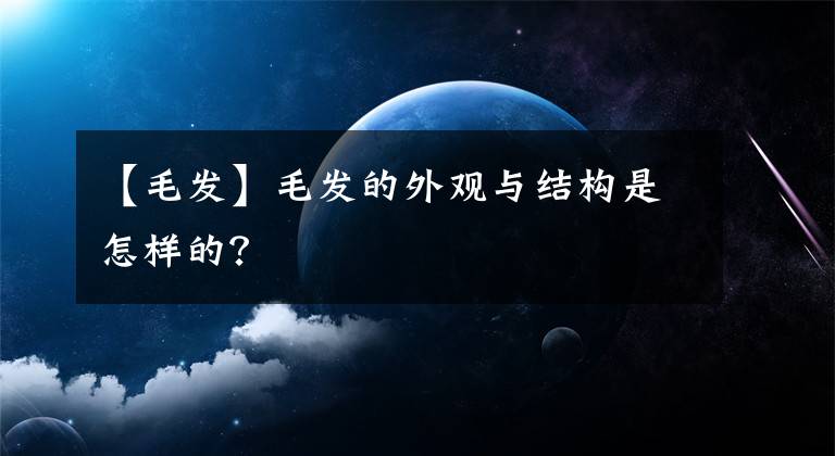 【毛發(fā)】毛發(fā)的外觀與結構是怎樣的？