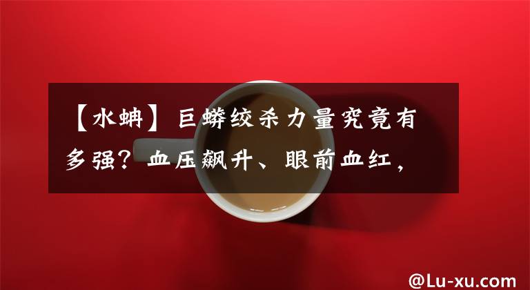 【水蚺】巨蟒絞殺力量究竟有多強？血壓飆升、眼前血紅，一直到腦血管爆裂