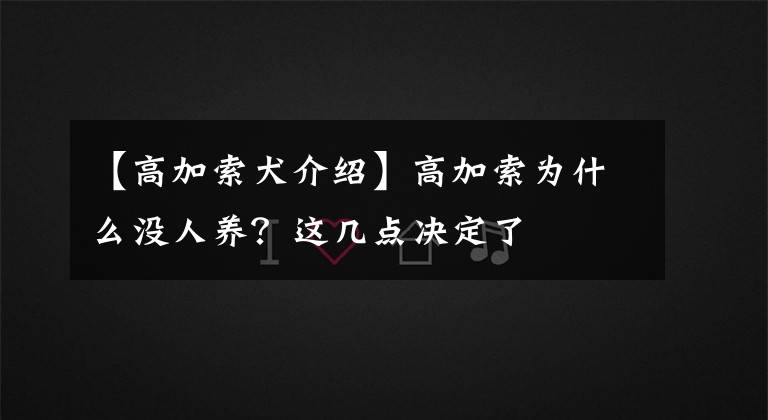 【高加索犬介紹】高加索為什么沒人養(yǎng)？這幾點(diǎn)決定了