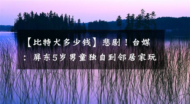 【比特犬多少錢】悲劇！臺媒：屏東5歲男童獨(dú)自到鄰居家玩，被比特犬緊咬腹部身亡