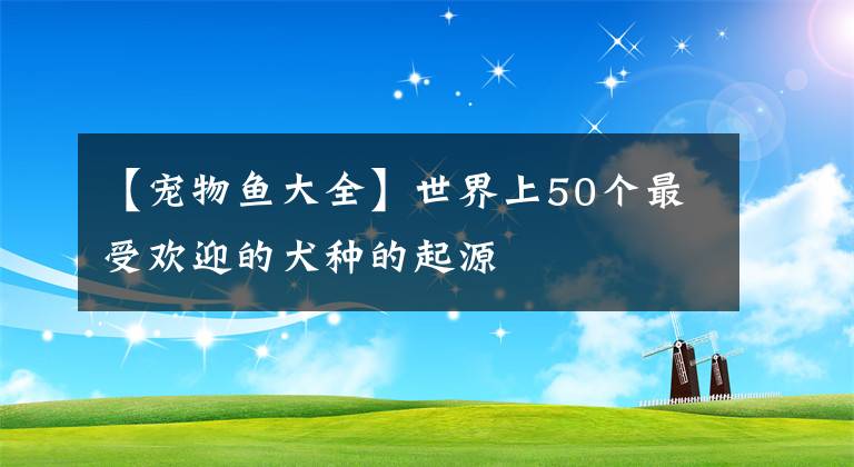 【寵物魚大全】世界上50個(gè)最受歡迎的犬種的起源