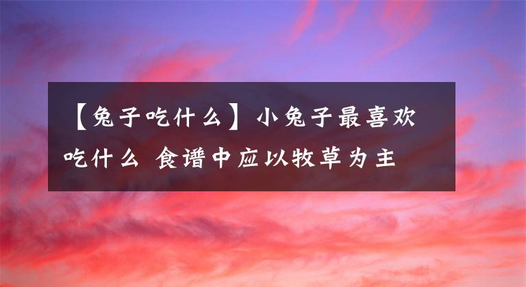 【兔子吃什么】小兔子最喜歡吃什么 食譜中應(yīng)以牧草為主