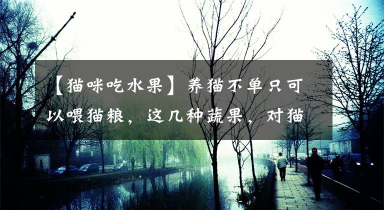 【貓咪吃水果】養(yǎng)貓不單只可以喂貓糧，這幾種蔬果，對(duì)貓咪也有好處