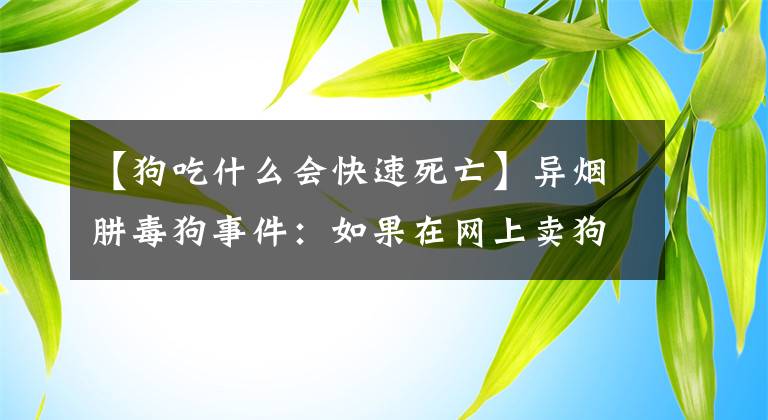 【狗吃什么會快速死亡】異煙肼毒狗事件：如果在網(wǎng)上賣狗，20分鐘內(nèi)就會死。