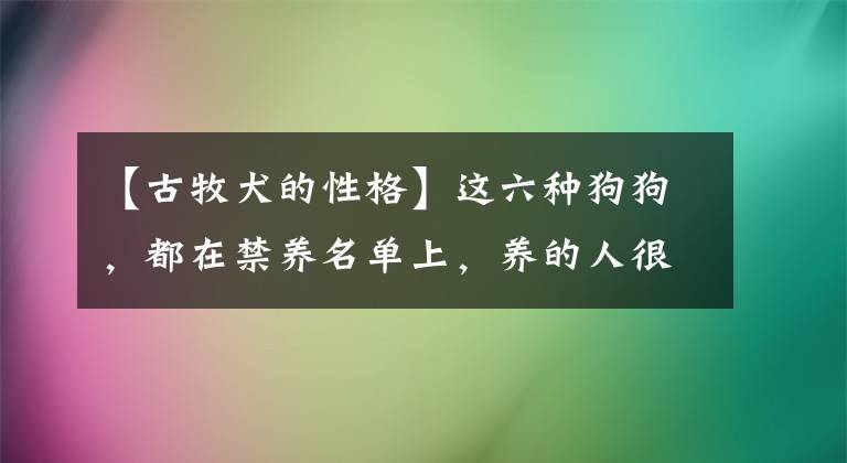 【古牧犬的性格】這六種狗狗，都在禁養(yǎng)名單上，養(yǎng)的人很多