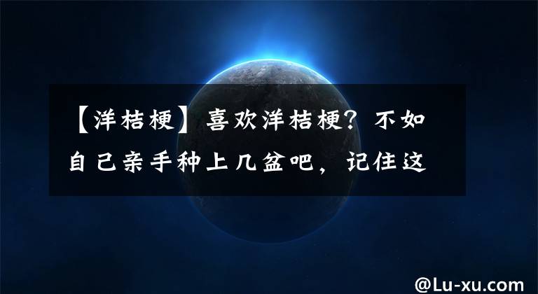 【洋桔?！肯矚g洋桔梗？不如自己親手種上幾盆吧，記住這些要點(diǎn)種植并不難