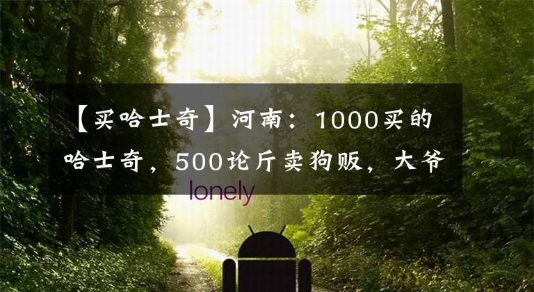 【買哈士奇】河南：1000買的哈士奇，500論斤賣狗販，大爺：500，少一分不賣