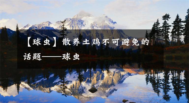 【球蟲】散養(yǎng)土雞不可避免的話題——球蟲