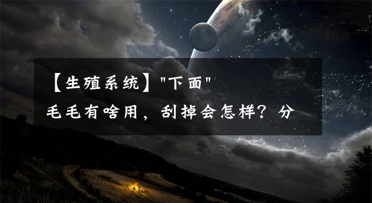 【生殖系統(tǒng)】"下面"毛毛有啥用，刮掉會(huì)怎樣？分析了這幾點(diǎn)，你就明白了