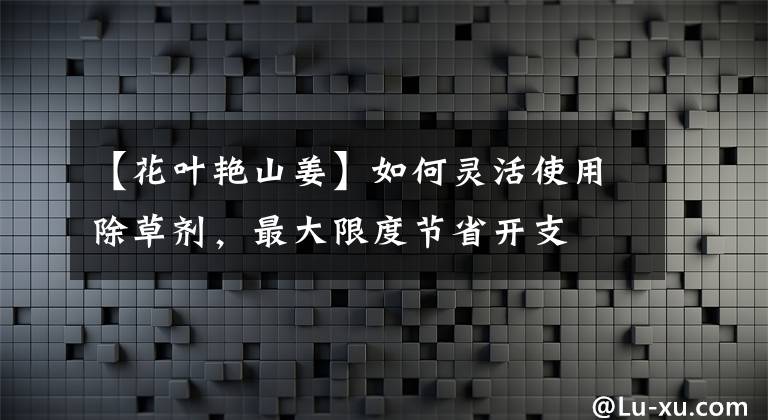 【花葉艷山姜】如何靈活使用除草劑，最大限度節(jié)省開支