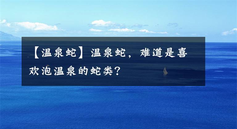 【溫泉蛇】溫泉蛇，難道是喜歡泡溫泉的蛇類？