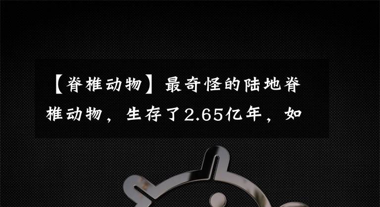 【脊椎動物】最奇怪的陸地脊椎動物，生存了2.65億年，如今每年被人吃掉32億只