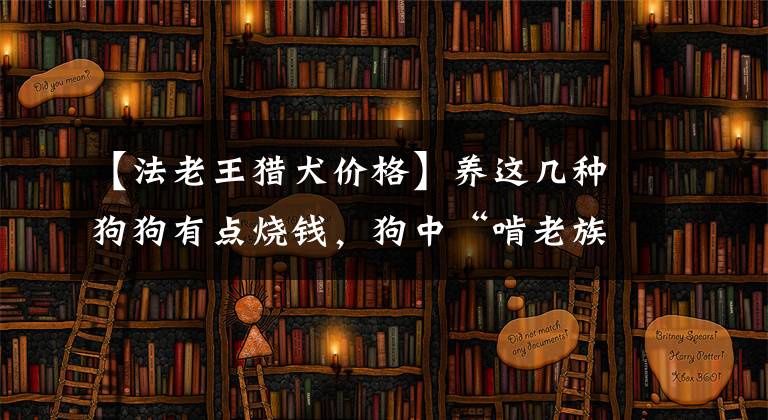 【法老王獵犬價(jià)格】養(yǎng)這幾種狗狗有點(diǎn)燒錢，狗中“啃老族”，你覺得非誰莫屬？