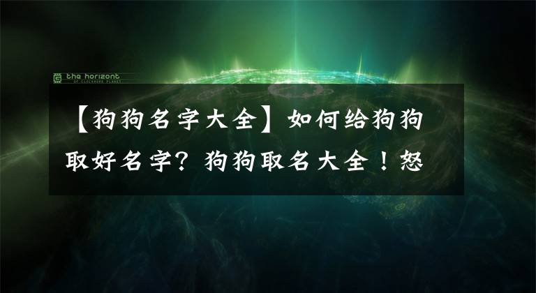 【狗狗名字大全】如何給狗狗取好名字？狗狗取名大全！怒收藏